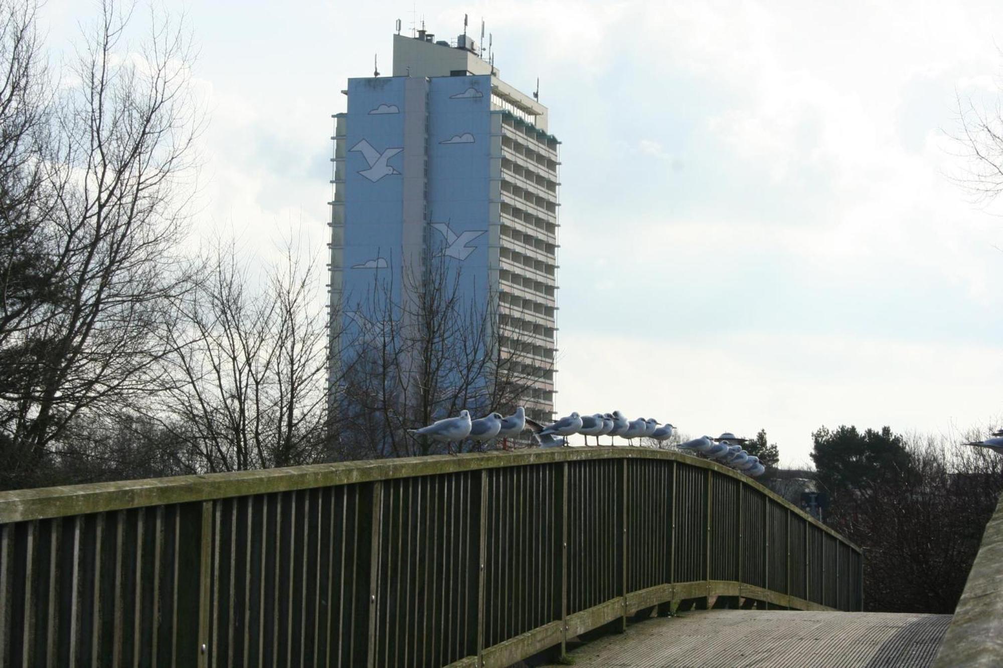 Ferienappartement K110 Fuer 2-4 Personen In Strandnaehe Бразилиен Екстериор снимка